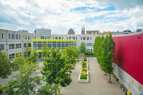 <p><strong>Grote wegwerkzaamheden rondom school </strong></p>

